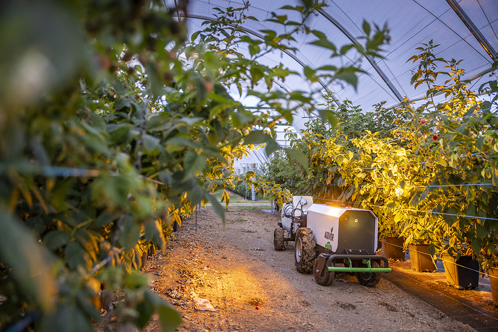 Agritech2025 Agovor 1011 1000x666