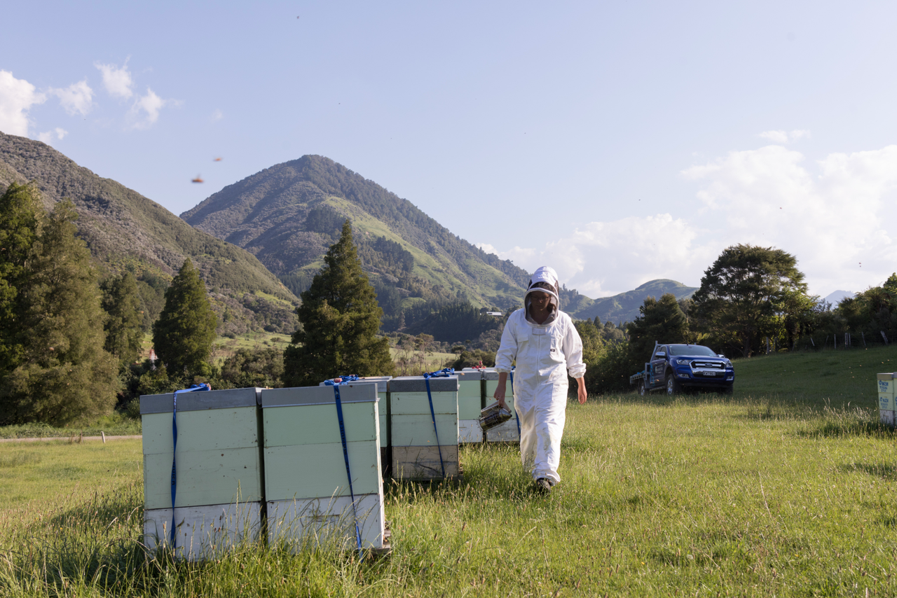 NZStory honey 21  Q2A7953