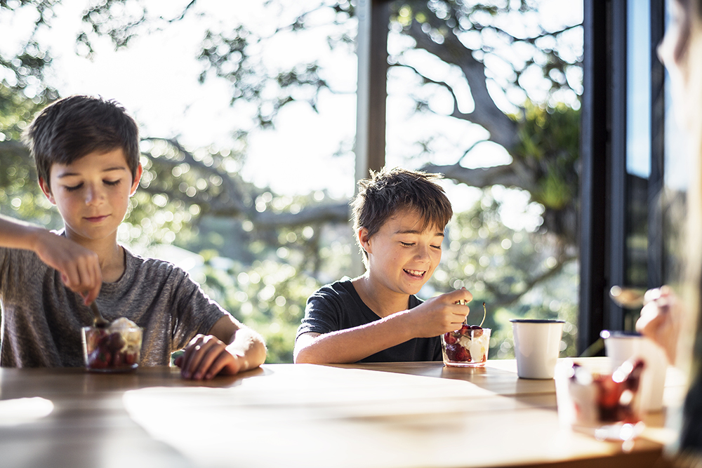 Dairy 2 website 1000x666